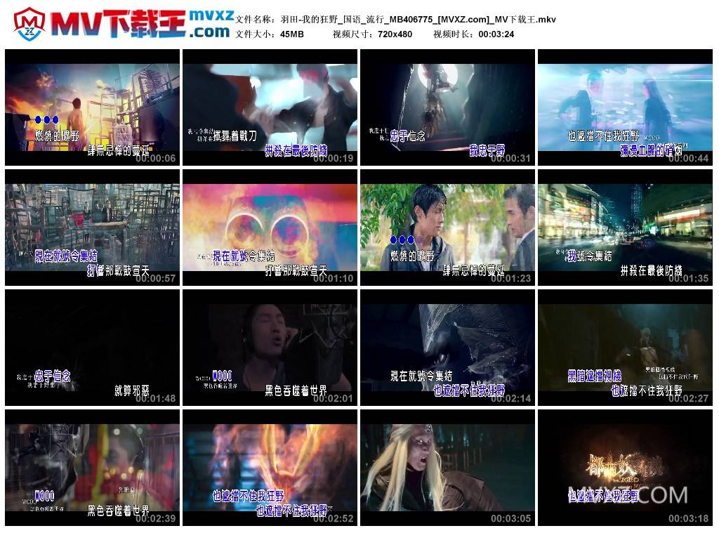 羽田-我的狂野_国语_流行_MB406775
